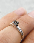 Anillo Xinan