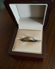 Anillo Vesubio