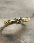 Anillo Xinan