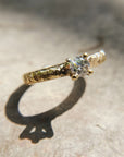 Anillo Xinan