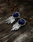 Aretes Cometa