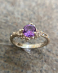 Anillo Nimbo