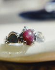 Anillo Fenix