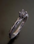 Anillo Xinan