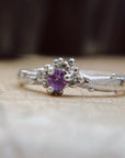 Anillo Nimbo
