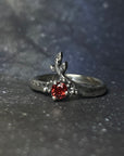 Anillo Aureola