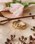 Anillo Laurel