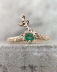 Anillo Aureola