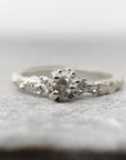 Anillo Nimbo