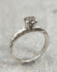 Anillo Xinan
