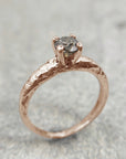 Anillo Xinan