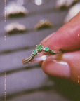 Anillo Vita