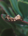Anillo Cleo
