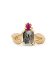 Anillo Crossroads