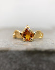 Anillo Fenix