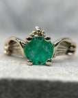 Anillo Fenix