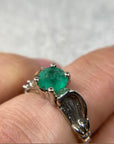 Anillo Fenix