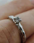 Anillo Xinan