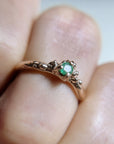Anillo Nimbo