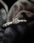Anillo Xinan
