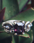 Anillo Havana