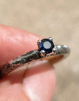 Anillo Xinan