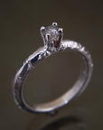 Anillo Xinan
