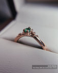 Anillo Nimbo