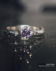 Anillo Nimbo