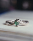 Anillo Nimbo
