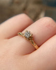 Anillo Nimbo