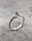 Anillo Nimbo