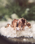 Anillo Muse