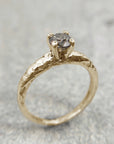Anillo Xinan
