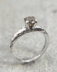 Anillo Xinan