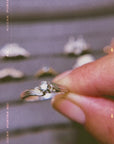 Anillo Ola