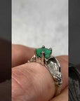 Anillo Fenix